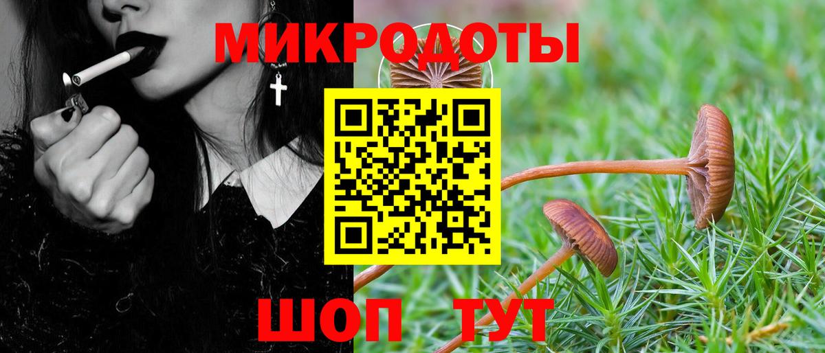 Галлюциногенные грибы GOLDEN TEACHER Нововоронеж
